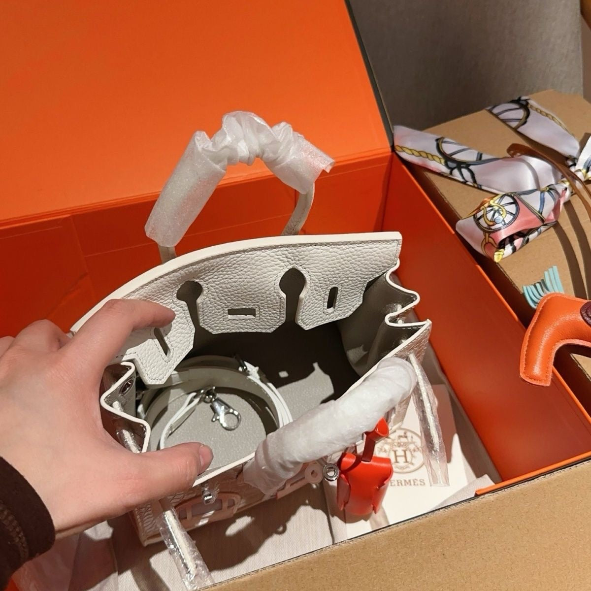 Hermès Birkin Faubourg Snow Matte Alligator