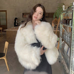 Demair fur coat