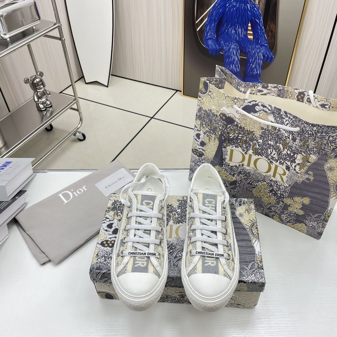 Dior Vibe Embroidered Sneakers
