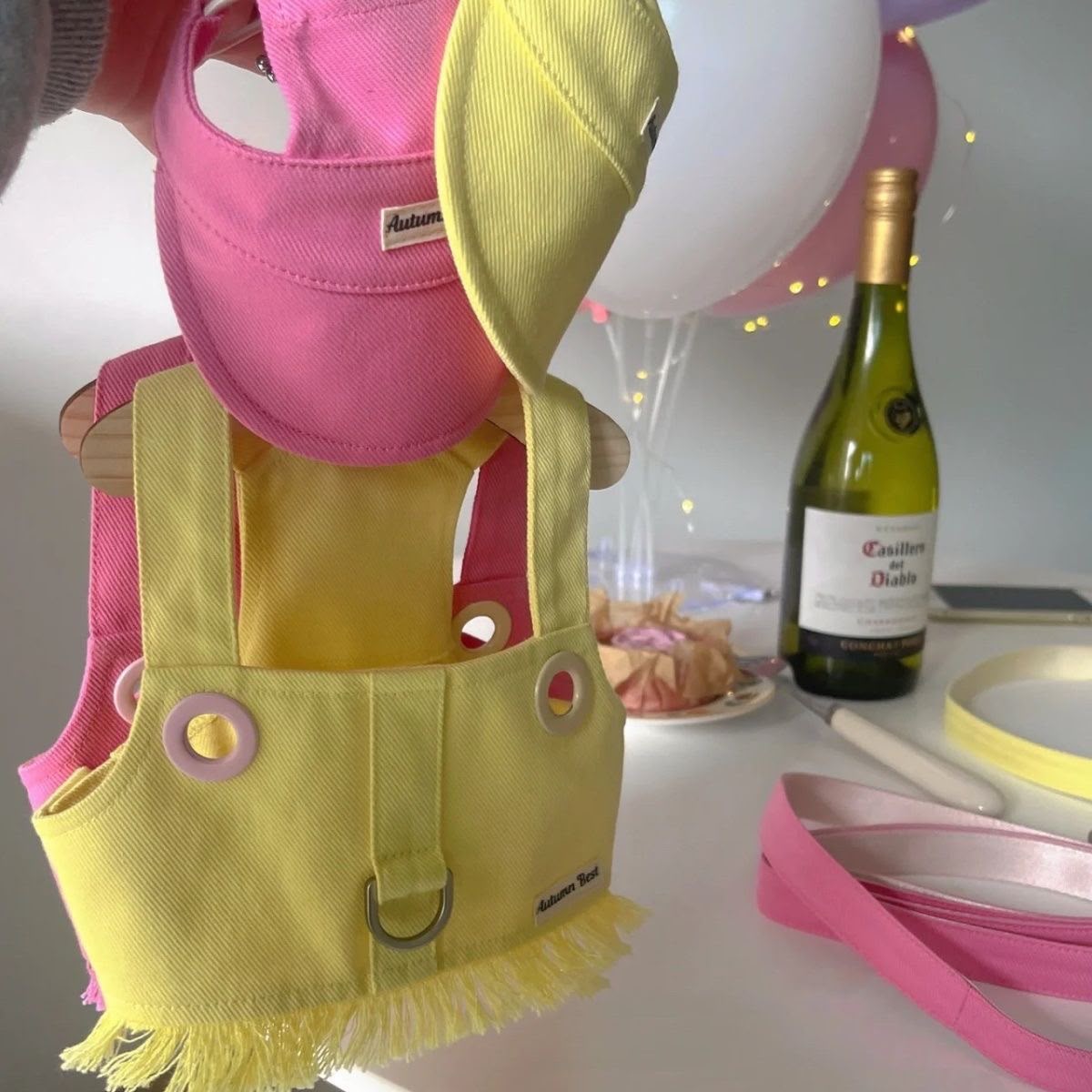 Candy-Colour Tassel-Trim Dog Harness Vest