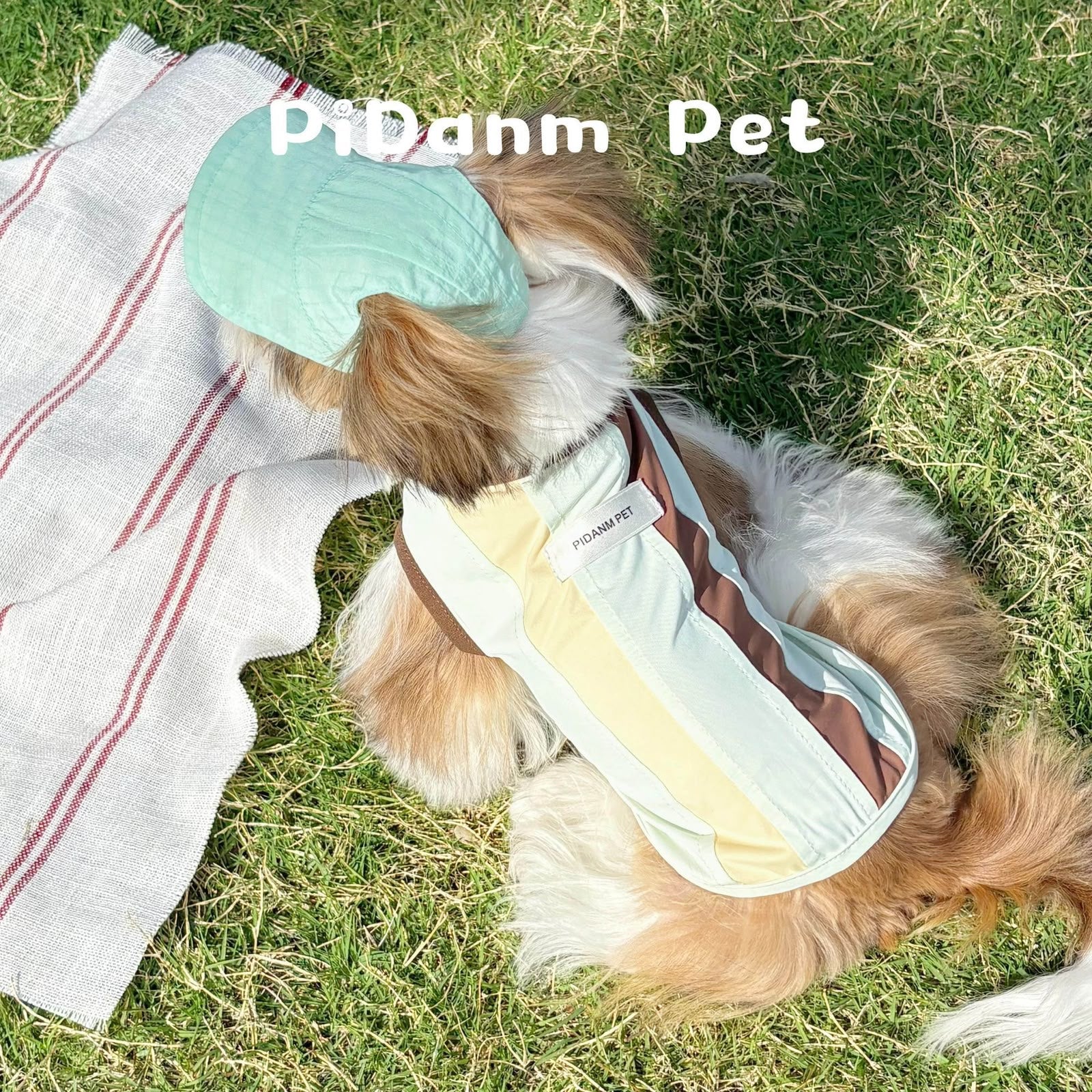 Pidanm Pet® Stylish Pastel Striped Vest & Sun Hat Set