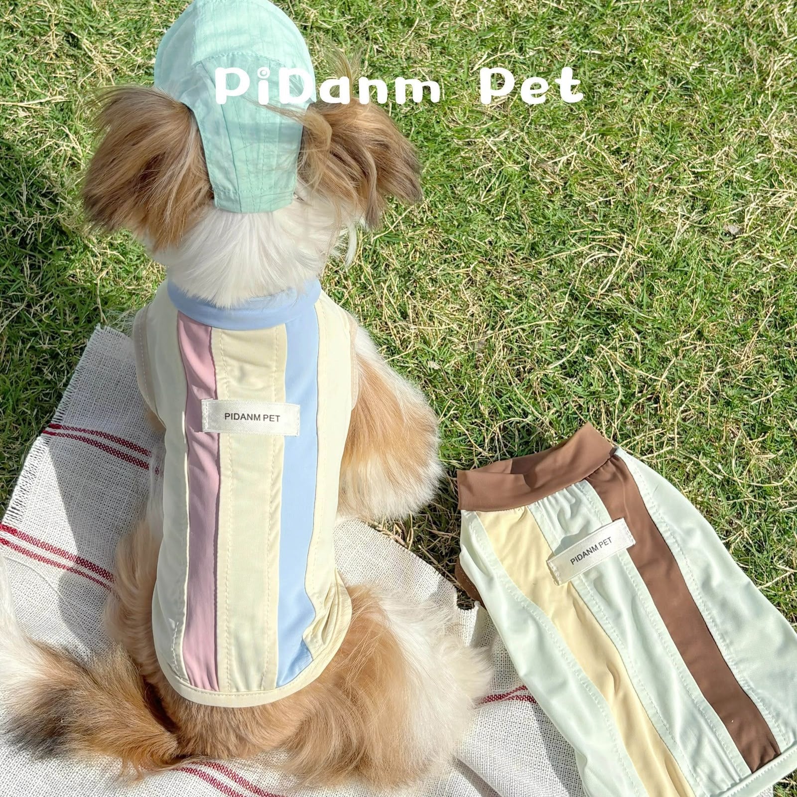Pidanm Pet® Stylish Pastel Striped Vest & Sun Hat Set