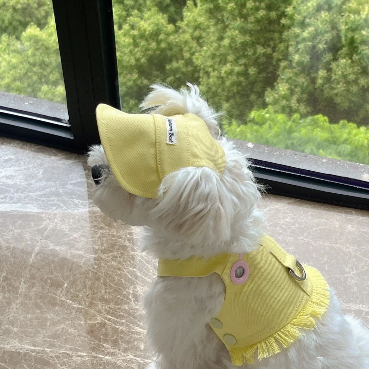 Candy-Colour Tassel-Trim Dog Harness Vest