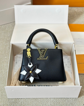 Louis Vuitton Capucines Mini Bag