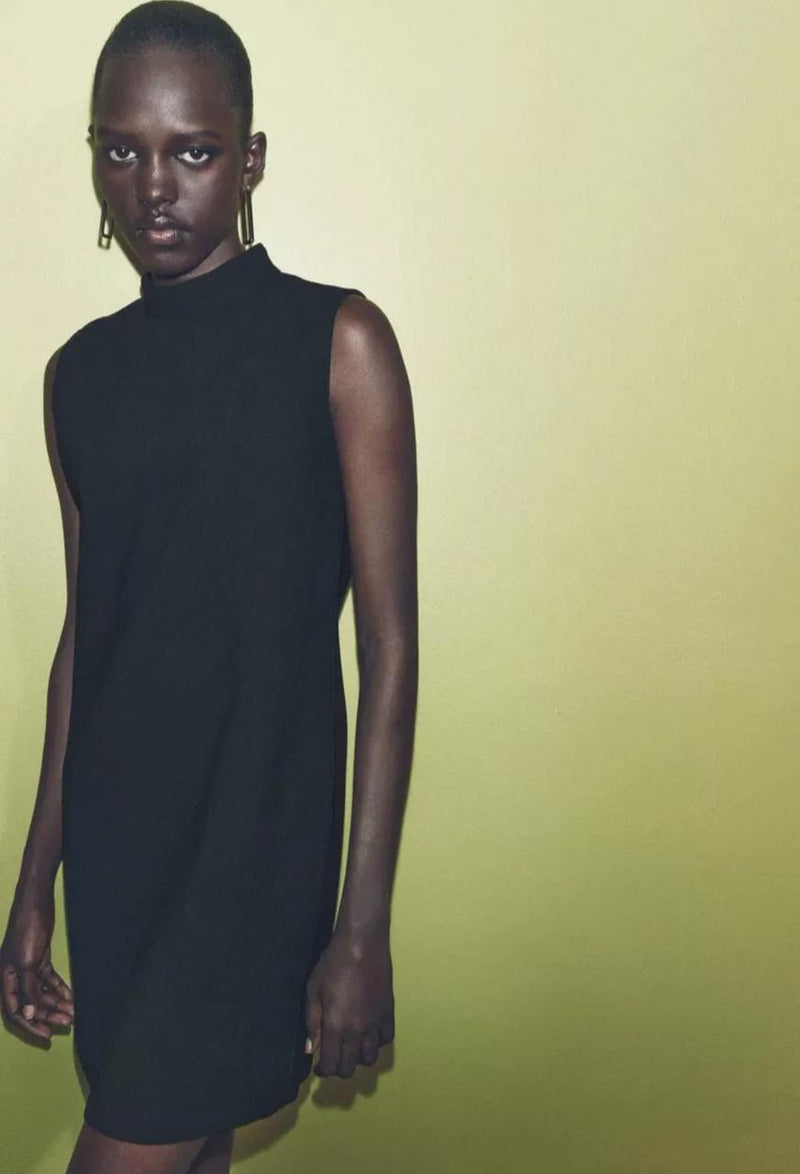 Zara dress