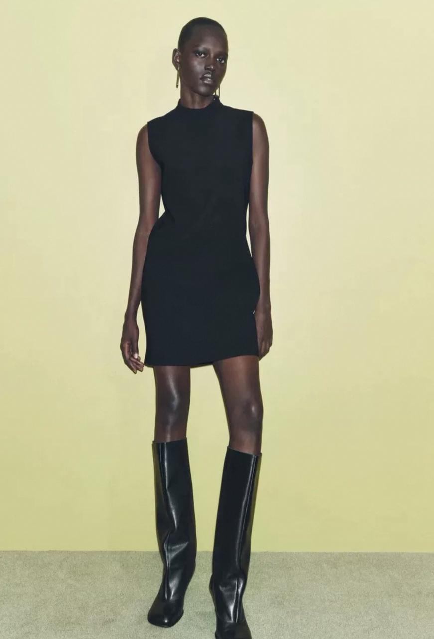 Zara dress