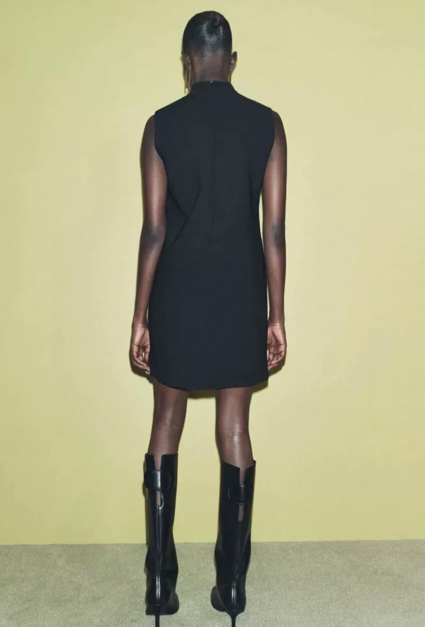 Zara dress