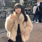 Demair fur coat