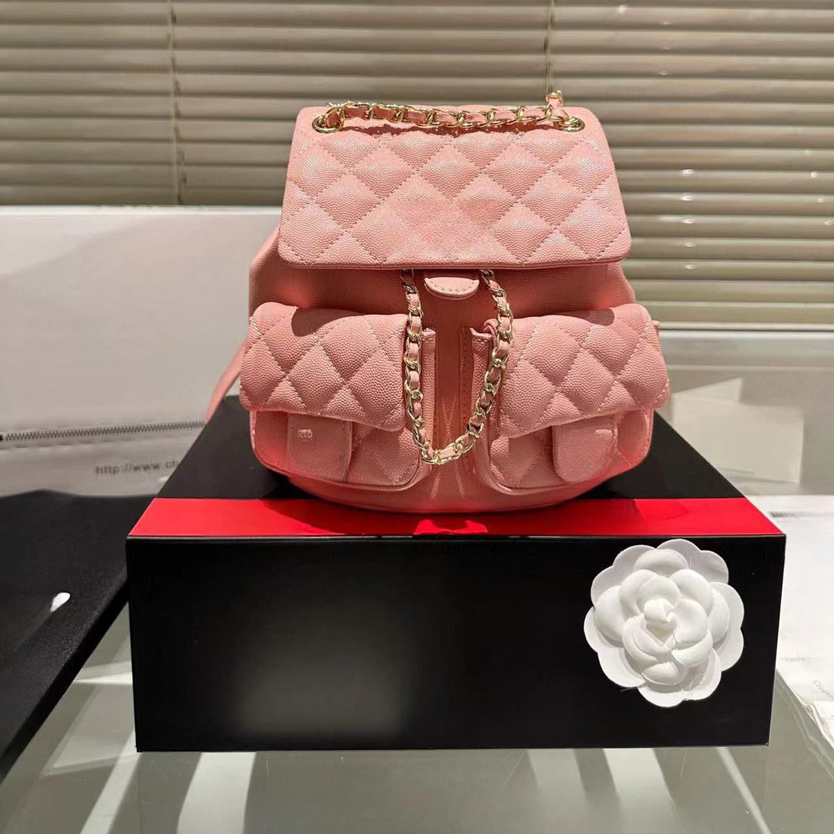 Chanel Quilted grained calfskin Duma backpack