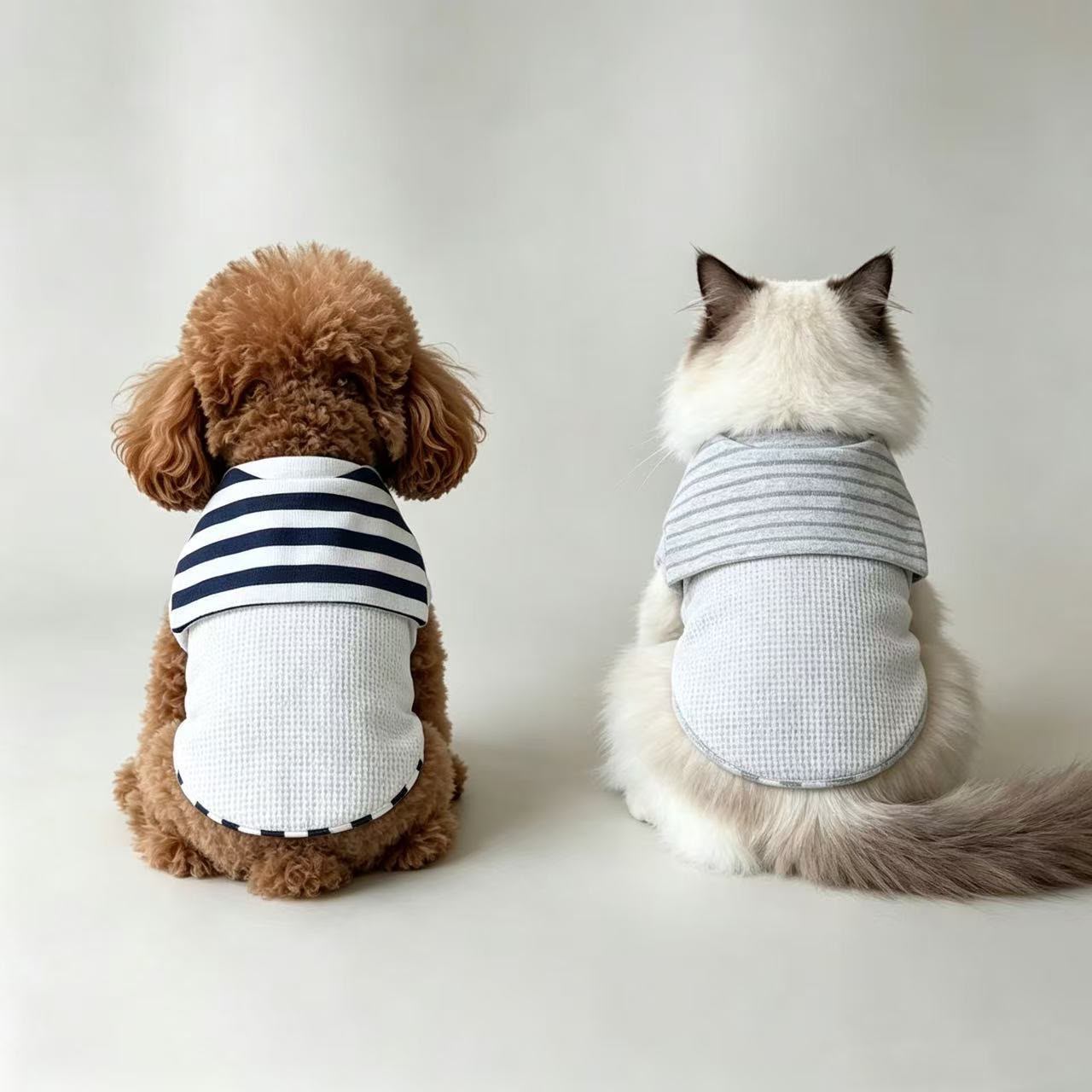Stripped pets wearing