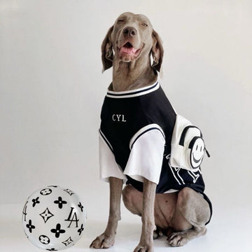 Black faux two-piece (large dog)
