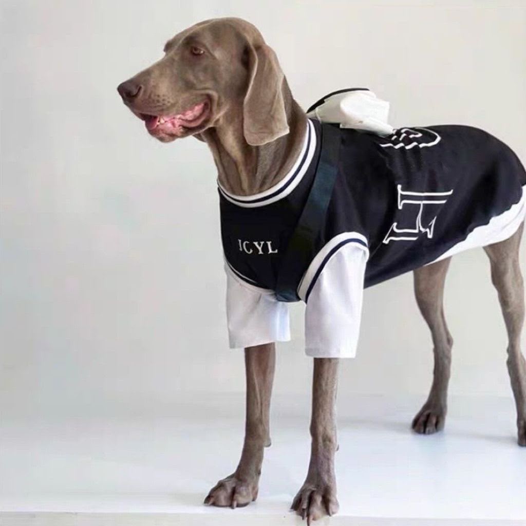 Black faux two-piece (large dog)