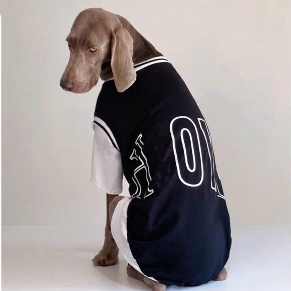 Black faux two-piece (large dog)