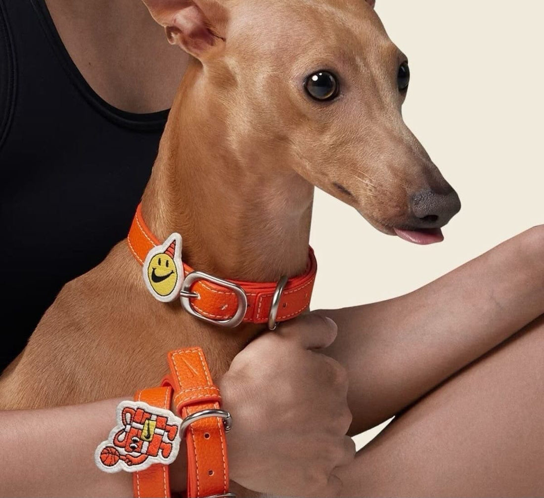 NIKE Orange two-pack