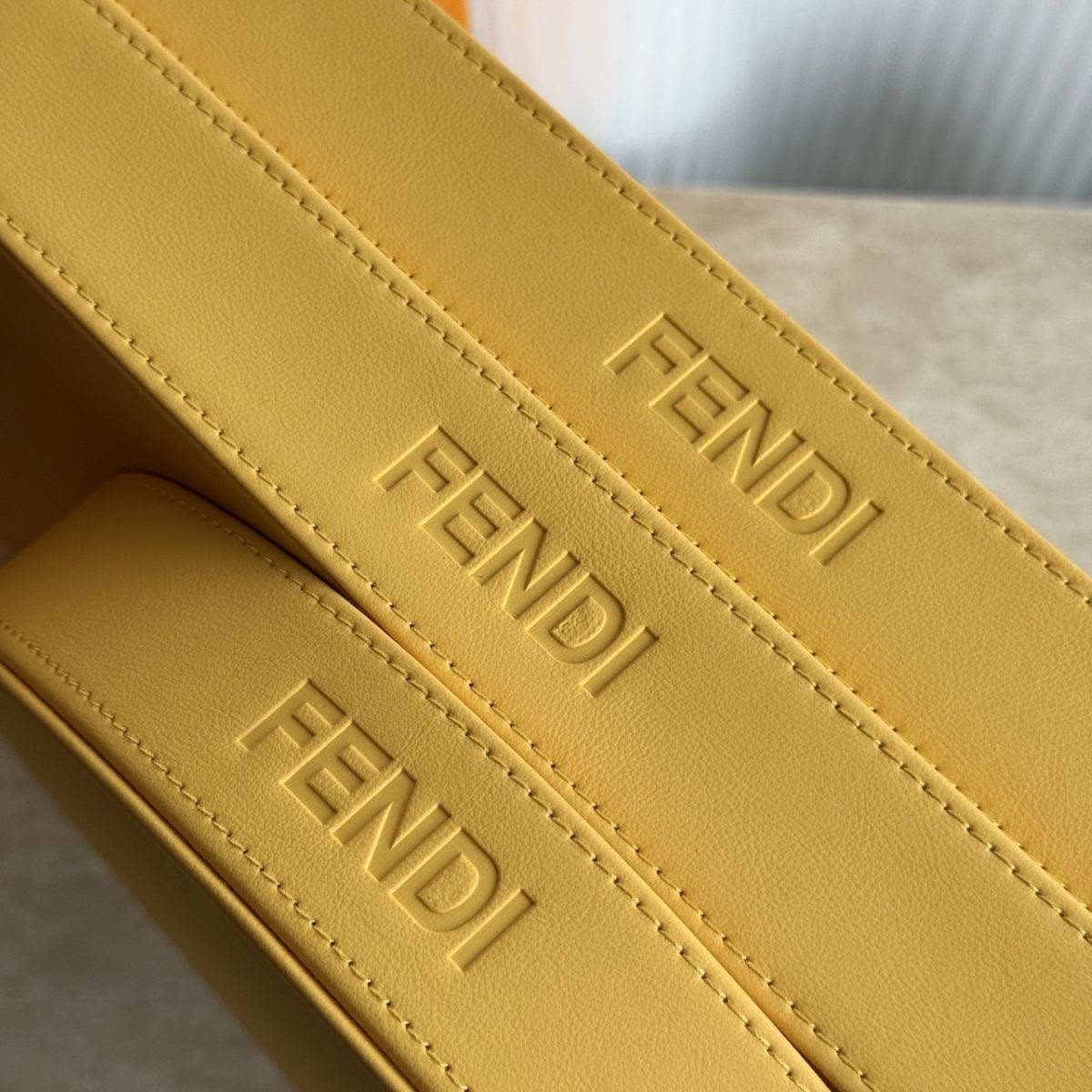 Fendi Roma Leather Catchall Tray