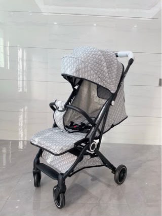 Dior Light Monogram Baby Stroller