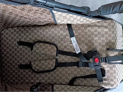 Gucci Baby Stroller