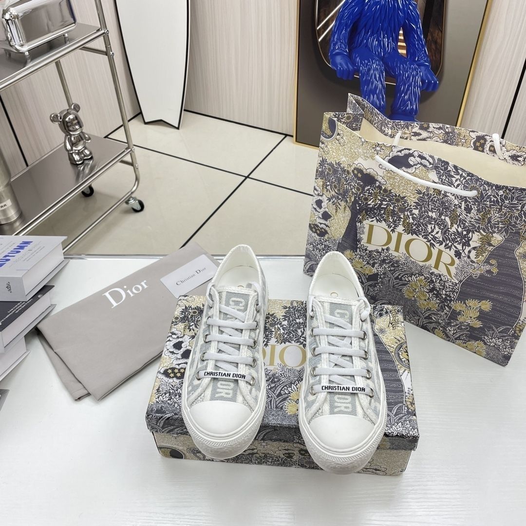 Dior Vibe Embroidered Sneakers