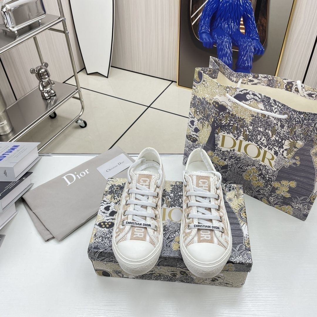 Dior Vibe Embroidered Sneakers