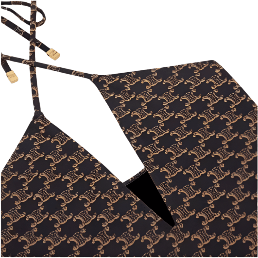 Celine Triomphe Monogram One-Piece Swimsuit
