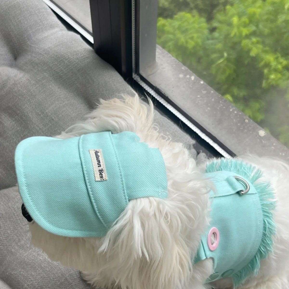 Candy-Colour Tassel-Trim Dog Harness Vest