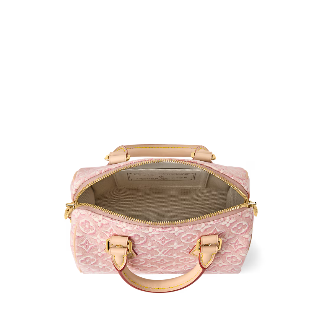 Louis Vuitton Speedy 30 bag