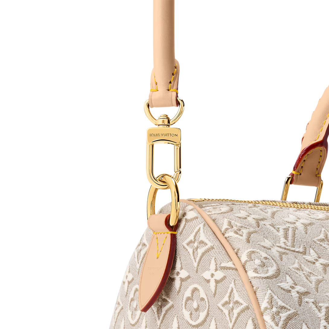 Louis Vuitton Speedy 30 bag