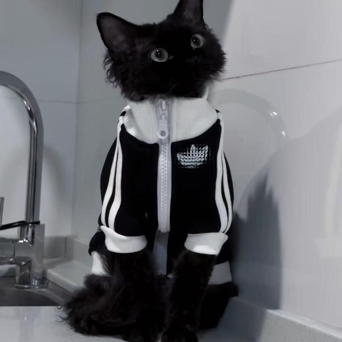 Adidas Pet Jacket