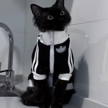 Adidas Pet Jacket