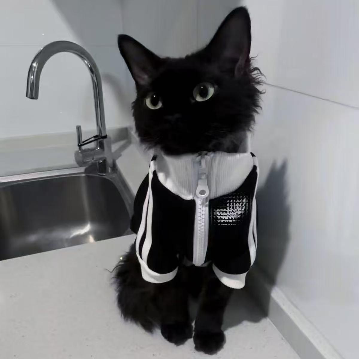 Adidas Pet Jacket