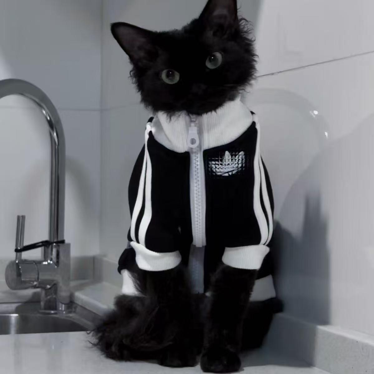 Adidas Pet Jacket